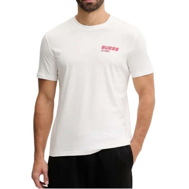 Guess Z6RI12I3Z14-G018 Ανδρικό T-shirt Κοντομάνικο